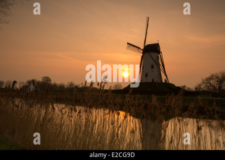 Windmühle von Damme, eines der schönsten Dörfer in Flandern Belgien, in der Nähe von Brügge, entlang des Kanals Damse Vaart Stockfoto