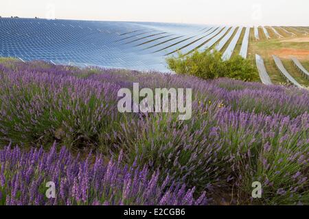 Frankreich, Alpes de Haute Provence, Les Mees, Plateau von Puimichel, Photovoltaik-Park von Enfinity, auf der 36ha implantiert entwickelt Verständnis 79 000 Module von einer Leistung von 18,2 MW Stockfoto