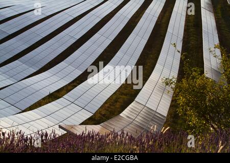 Frankreich, Alpes de Haute Provence, Les Mees, Plateau von Puimichel, Photovoltaik-Park von Enfinity, auf der 36ha implantiert entwickelt Verständnis 79 000 Module von einer Leistung von 18,2 MW Stockfoto