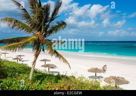 Harbour Island, Bahamas Pink Sands Hotel, der blaue Balken Stockfoto