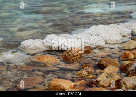 Israel, Südrussland, Ein Gedi Strand am Toten Meer, saline Konkretionen Stockfoto