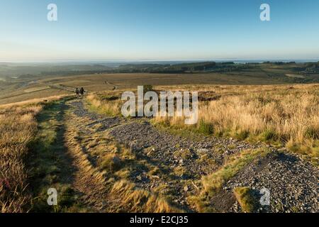 Frankreich, Finistere, Parc Naturel Regional d'Armorique (Armorica Naturpark), St. Rivoal, Wandern auf den Mont Saint Michel de Brasparts und Blick auf die Monts-d'Arree Stockfoto