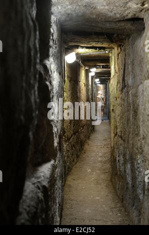 Israel, Jerusalem, heilige Stadt trat Straße bauen unter Herodes Great, Weg der Pilger, werde vom Tempelberg Pool von Siloah Stockfoto