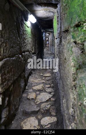 Israel, Jerusalem, heilige Stadt trat Straße bauen unter Herodes Great, Weg der Pilger, werde vom Tempelberg Pool von Siloah Stockfoto