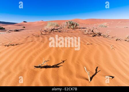 Namibia, Hardap Region, Wüste Namib, Namib-Naukluft-Park, Sossusvlei Dünen Stockfoto