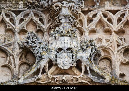 Blazon Frankreich Deux Sevres Saint Marc la Lande extravagante gotische Fassade der Stiftskirche Details des Königs von Frankreich Stockfoto