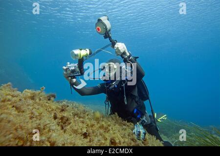 Algerien Habibas Inseln Taucher Meeresbiologe Stockfoto