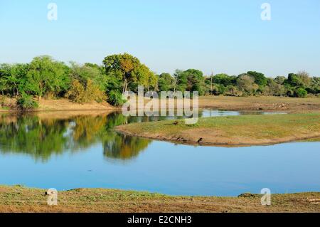 Südafrika Mpumalanga Region Süd-Krüger-Nationalpark Stockfoto