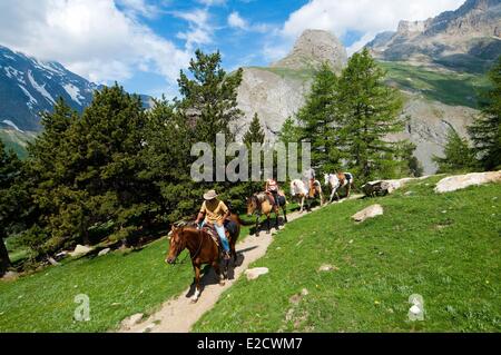 Frankreich Hautes Alpes Le Lauzet Pferd Reise im Bereich von Ecrins auf der Chemin du Roy Höhenweg zwischen L'Alpe du Lauzet und Stockfoto