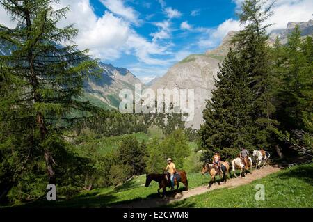 Frankreich Hautes Alpes Le Lauzet Pferd Reise im Bereich von Ecrins auf der Chemin du Roy Höhenweg zwischen L'Alpe du Lauzet und Stockfoto