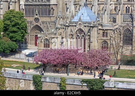 Frankreich Paris Seine-Ufer, die als Weltkulturerbe von UNESCO Notre Dame Kathedrale auf der Stadtinsel Notre-Dame Stockfoto