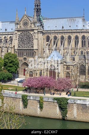 Frankreich Paris Seine-Ufer, die als Weltkulturerbe von UNESCO Notre Dame Kathedrale auf der Stadtinsel Notre-Dame Stockfoto