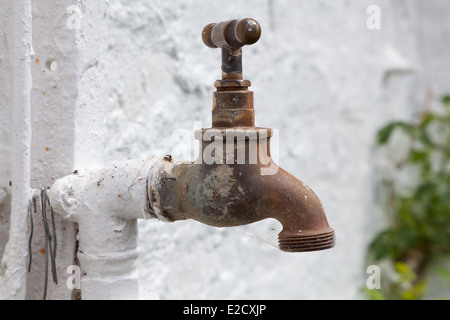 Messing Wasserhahn für Gartenbewässerung Stockfoto