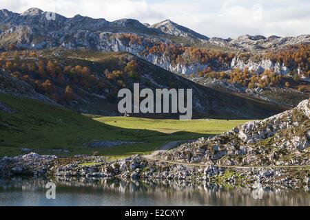 Spanien Provinz Asturien-Cangas de Onis Picos de Europa Nationalpark Covadonga See Stockfoto