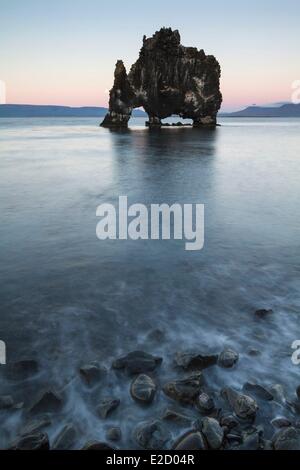 Island Nordurland Region Halbinsel Vatnsnes HvÝtserkur Fels der Bogen aus Basalt mit 15 m hohen durchbohrt erscheint aus Gewässern Stockfoto