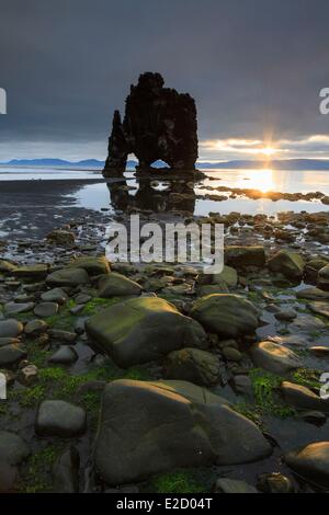 Island Nordurland Region Halbinsel Vatnsnes HvÝtserkur Fels der Bogen aus Basalt mit 15 m hohen durchbohrt erscheint aus Gewässern Stockfoto