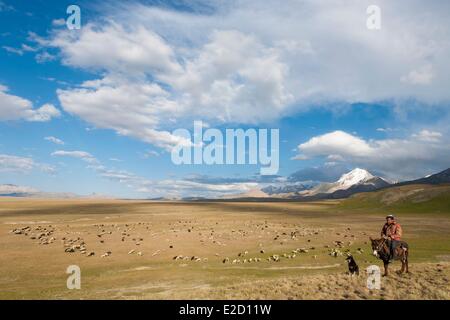 Kirgisistan Naryn Provinz Arpa Tal Tian Shan Reihe Shepperd ein Auge auf eine Herde von Schafen auf Sommerweiden Stockfoto