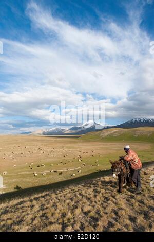 Kirgisistan Naryn Provinz Arpa Tal Tian Shan Reihe Shepperd ein Auge auf eine Herde von Schafen auf Sommerweiden Stockfoto