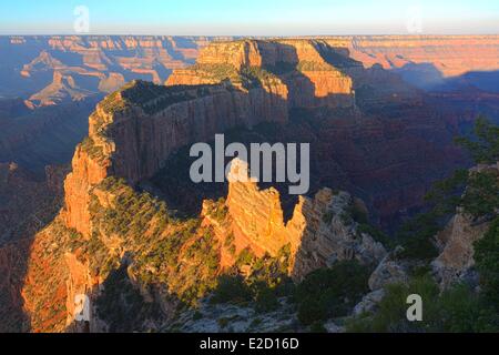 USA Arizona Grand Canyon National Park Weltkulturerbe von UNESCO North Rim Sonnenaufgang am Cape Royal übersehen Stockfoto