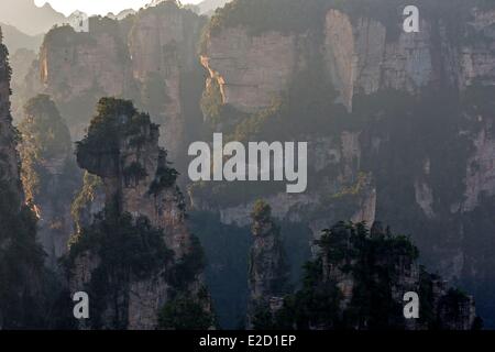 China Hunan Provinz Zhangjiajie Wulingyuan Scenic Area Zhangjiajie National Forest Park als Weltkulturerbe der UNESCO gelistet Stockfoto