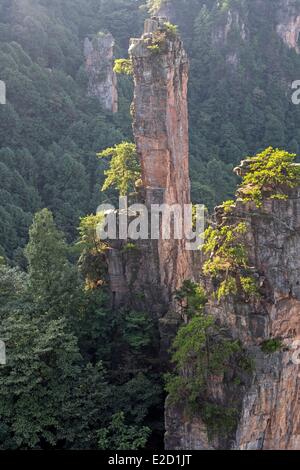 China Hunan Provinz Zhangjiajie Wulingyuan Scenic Area Zhangjiajie National Forest Park als Weltkulturerbe der UNESCO gelistet Stockfoto