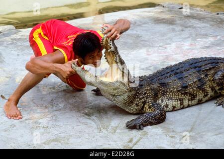 Thailand Bangkok Region Samutprakarn Krokodil-Farm und Zoo-Krokodil-Show Mann mit Kopf in den Rachen eines Krokodils Stockfoto