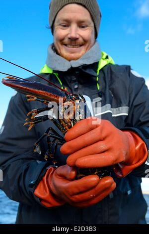 Schweden Vastra Gotaland Koster-Inseln heraus zum Meer abzurufenden Hummer fallen Hummer Stockfoto