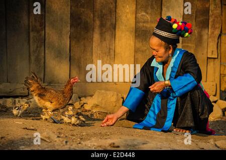 Laos Luang Prabang Provinz Na Wan Volksgruppe Hmong Großmutter Hmong in traditioneller Tracht Stockfoto