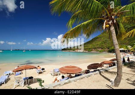 Frankreich Guadeloupe St. Martin-Anse Marcel Bay-Blick vom Strand Stockfoto