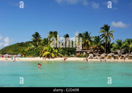 Frankreich Guadeloupe Saint Martin Cul de Sac Pinel Island Mann im türkisfarbenen Wasser um die Taille und ein Foto von Exotik Stockfoto