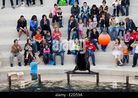 Kanada Alberta Edmonton West Edmonton Mall das größte Einkaufszentrum in Kanada Sea Lion Rock show mit Seelöwen Stockfoto