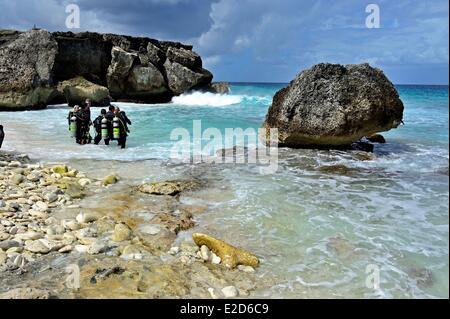 Niederländische Antillen Bonaire Insel Washington Slagbaai National Park Taucher am Strand von Boka Katuna Stockfoto