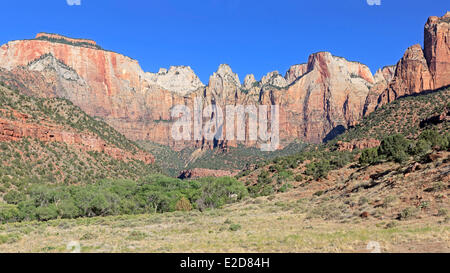 Vereinigte Staaten Utah Colorado Plateau Zion National Park Zion Canyon Türme der Jungfrau und West Temple Stockfoto