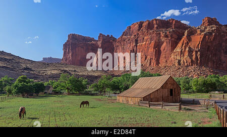 Vereinigten Staaten Utah Colorado Plateau Capitol Reef National Park Fruita Oase historische Gifford Scheune Stockfoto