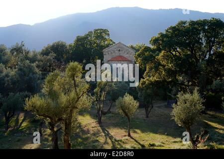 Frankreich, Corse du Sud, Alta Rocca, Sainte Lucie de Tallano (Santa Lucia di Tallà), romanische Kapelle des Heiligen Johannes des Täufers (Saint Stockfoto