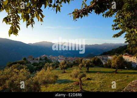 Frankreich, Corse du Sud, Alta Rocca, Sainte Lucie de Tallano (Santa Lucia di Tallà) Stockfoto