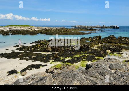 Frankreich Finistere La Foret Fouesnant Glenan-Inseln Ile Aux Moutons Stockfoto