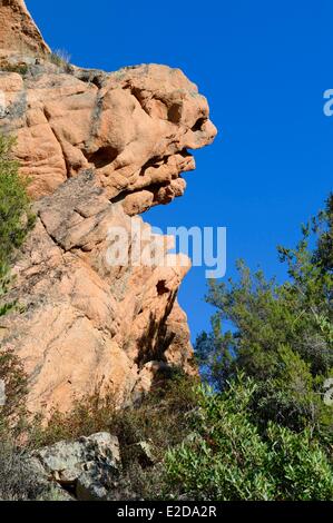 Frankreich, Corse du Sud, Golfe de Porto, Weltkulturerbe der UNESCO, die Buchten von Piana (Calanches de Piana), fantastische Stockfoto