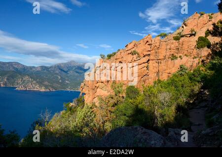 Frankreich, Corse du Sud, Golfe de Porto, Weltkulturerbe der UNESCO, die Buchten von Piana (Calanches de Piana) mit rosa Granitfelsen und den Bussaglia-Strand im Hintergrund Stockfoto