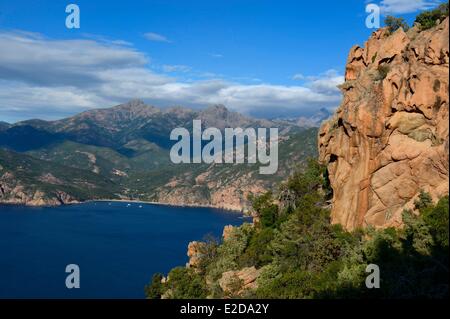 Frankreich, Corse du Sud, Golfe de Porto, Weltkulturerbe der UNESCO, die Buchten von Piana (Calanches de Piana) mit rosa Granitfelsen und den Bussaglia-Strand im Hintergrund Stockfoto