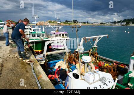 Frankreich Finistere Plougasnou Trawler Rückkehr vom Fischen in den Hafen von Diben Stockfoto