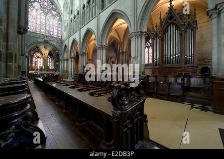 Frankreich, Ille et Vilaine, Bucht des Mont Saint Michel, Dol de Bretagne, Saint-Samson Kathedrale der Gotik, beide Seiten des Chores befindet sich 77 Ständen datiert aus dem 14. Jahrhundert Stockfoto