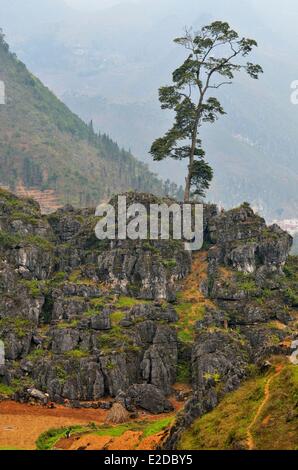 Vietnam Ha Giang Provinz 4C Straße zwischen Dong Van und Meo Vac Landschaften Stockfoto