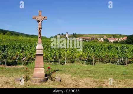 Frankreich Bas-Rhin Alsace Weinstraße Itterswiller Stockfoto