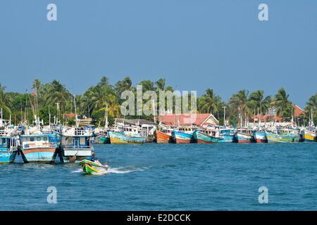 Sri Lanka, Western Province, Gampaha District, Negombo, Fischereihafen, hölzerne farbigen Trawler an einer Lagune Seite an Seite mit Hintergrund Kokospalmen Stockfoto
