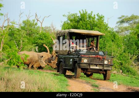 Swasiland Lubombo Bezirk Pirschfahrt Hlane Royal National Park 4 x 4 Stockfoto