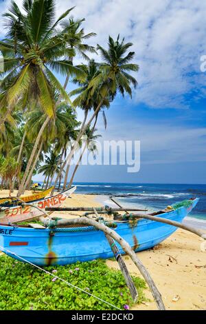 Sri Lanka, Western Province, Distrikt Kalutara, Bentota, Fischerboote im Rahmen der Strand unter Palmen Stockfoto