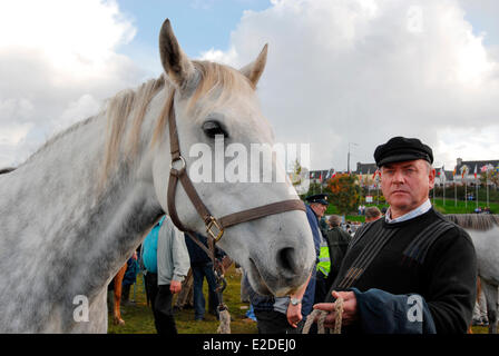 Irland County Galway Ballinasloe fand die erste Woche im Oktober statt, die die größte Messe in Europa tausend Pferde Pferde sind Stockfoto