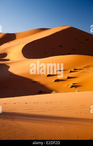 Marokko, Tafilalet Region, Merzouga, Erg Chebbi Wüste, Sanddünen Stockfoto