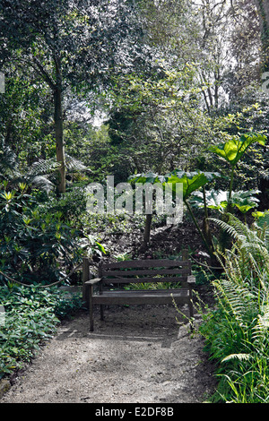 EINEN SCHATTIGEN GARTEN-SITZPLATZ. Stockfoto